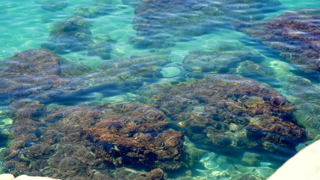 Apartamentos Starnerja En Stella Maris Dış mekan fotoğraf