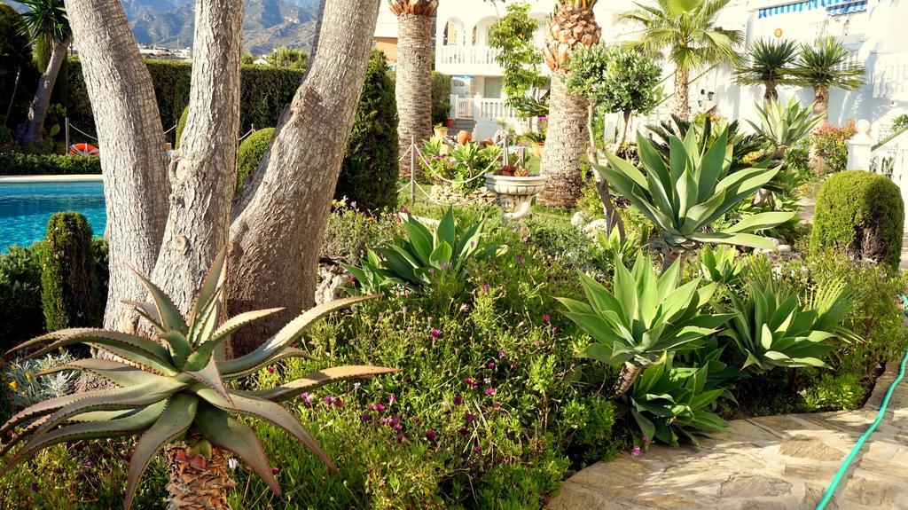 Apartamentos Starnerja En Stella Maris Oda fotoğraf